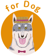 for Dog
